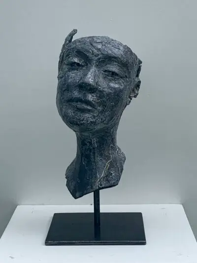 Mon Histoire (My History)