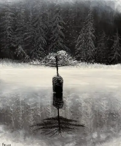 Fairy Lake Tree