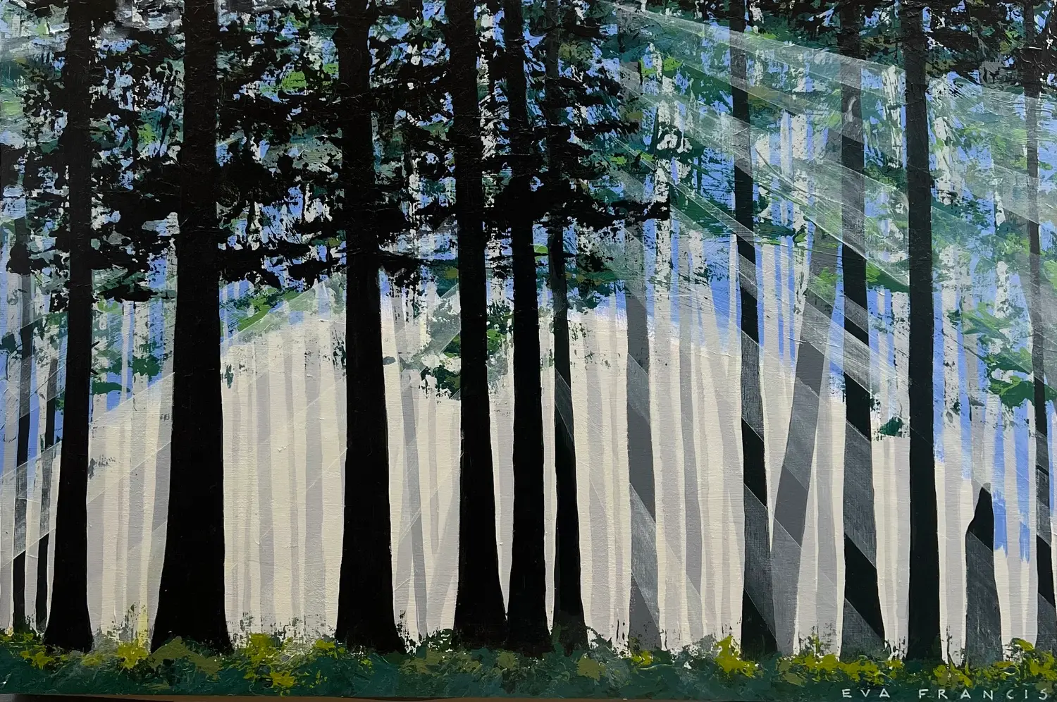 Cathedral Grove V - Eva Francis