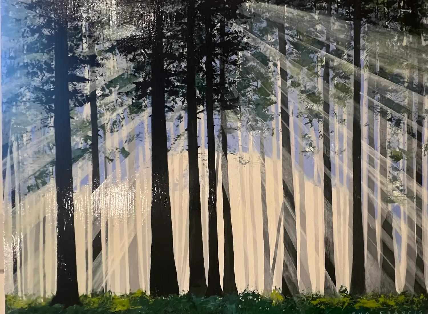 Cathedral Grove IV - Eva Francis