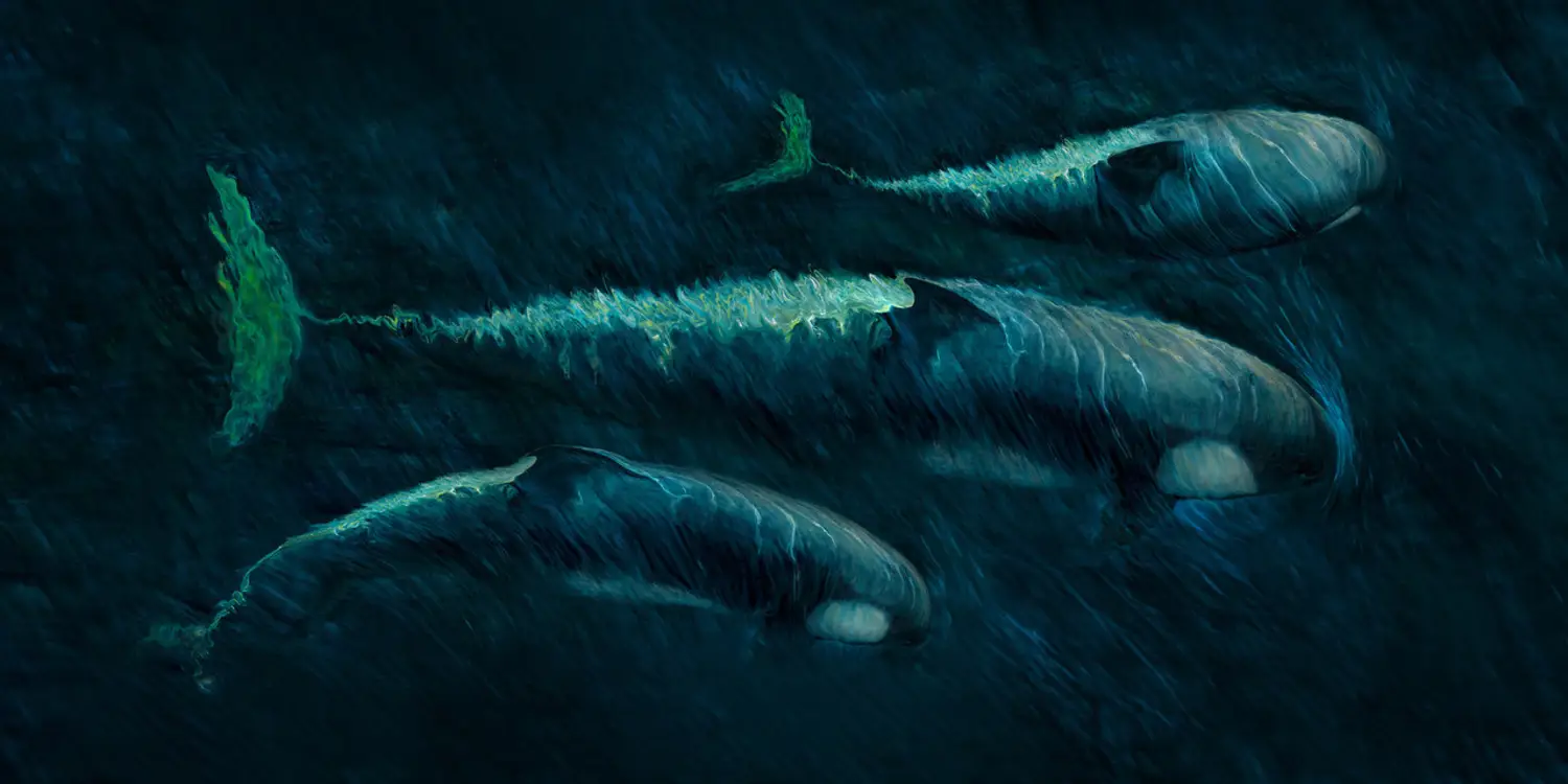Stealth Orca Pod - Nikki Baxendale