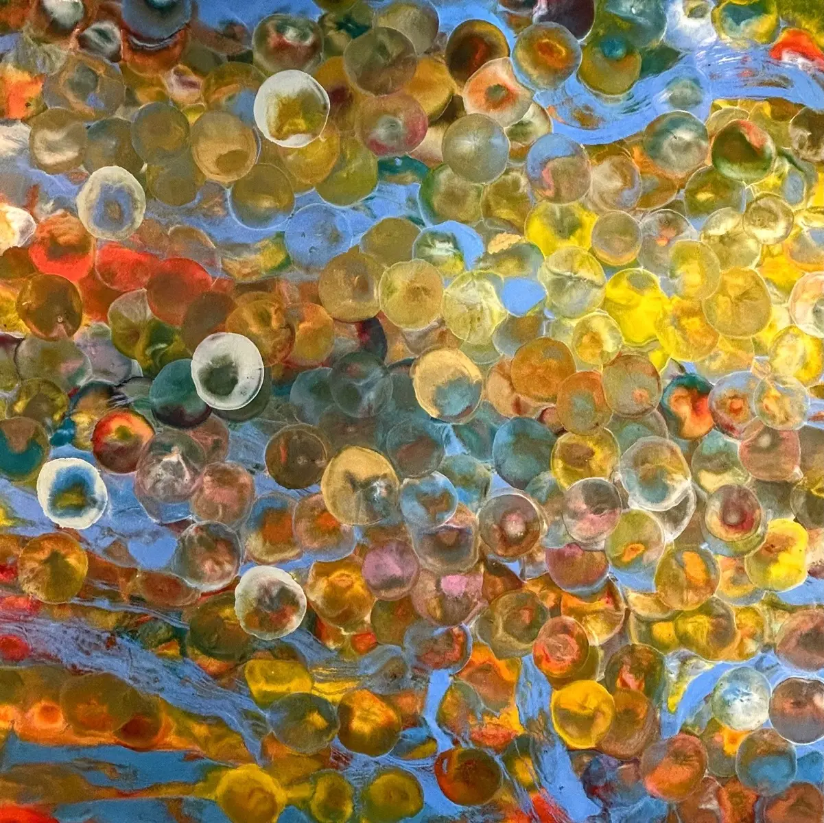 Halcyon Days - Shelley Wuitchik