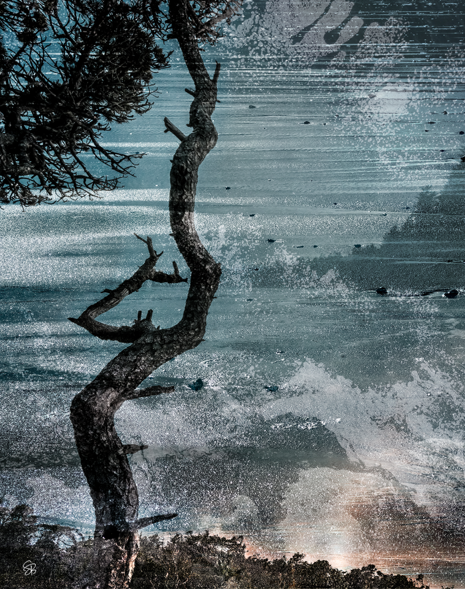 Based on a Tree Story (1/5) - Stacey Bodnaruk