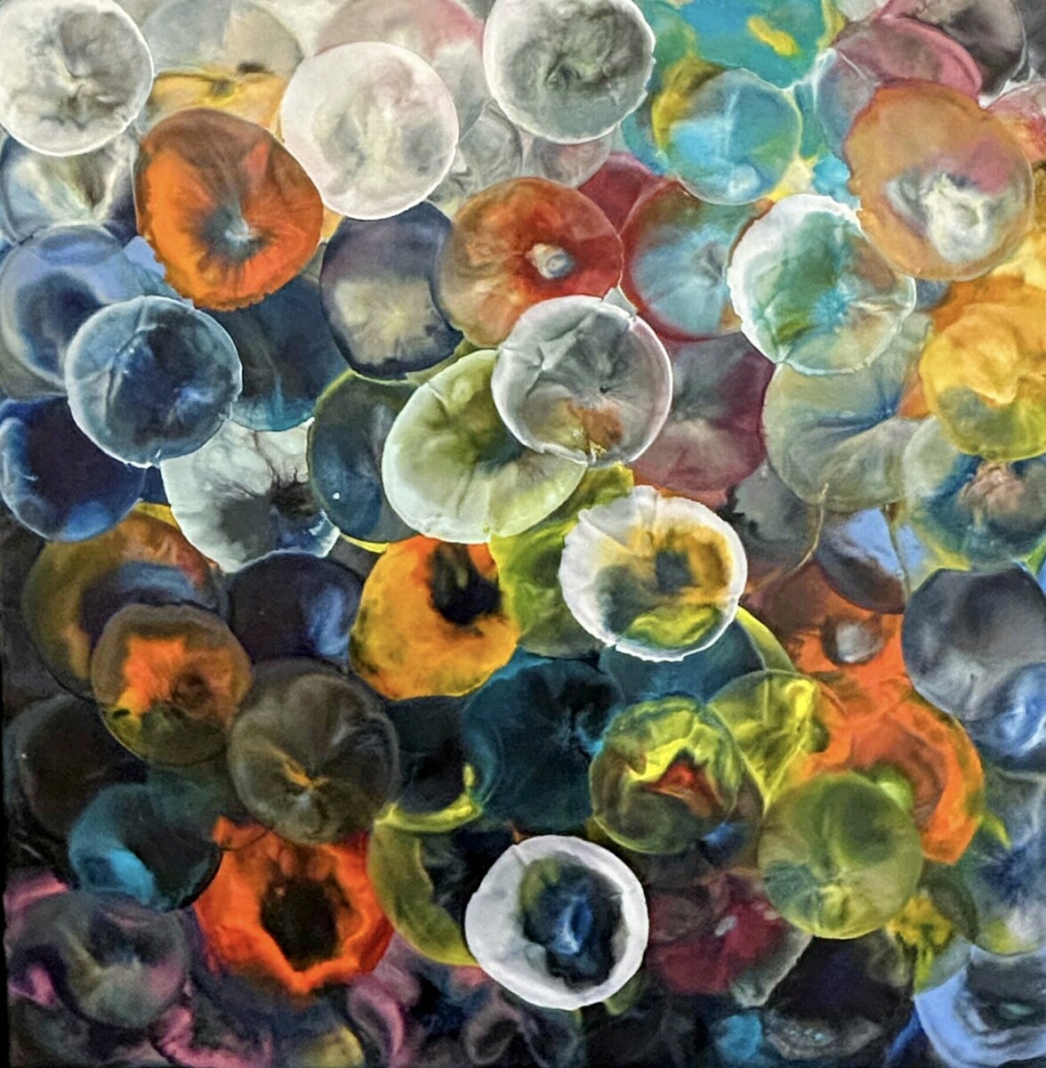 Frolic - Shelley Wuitchik