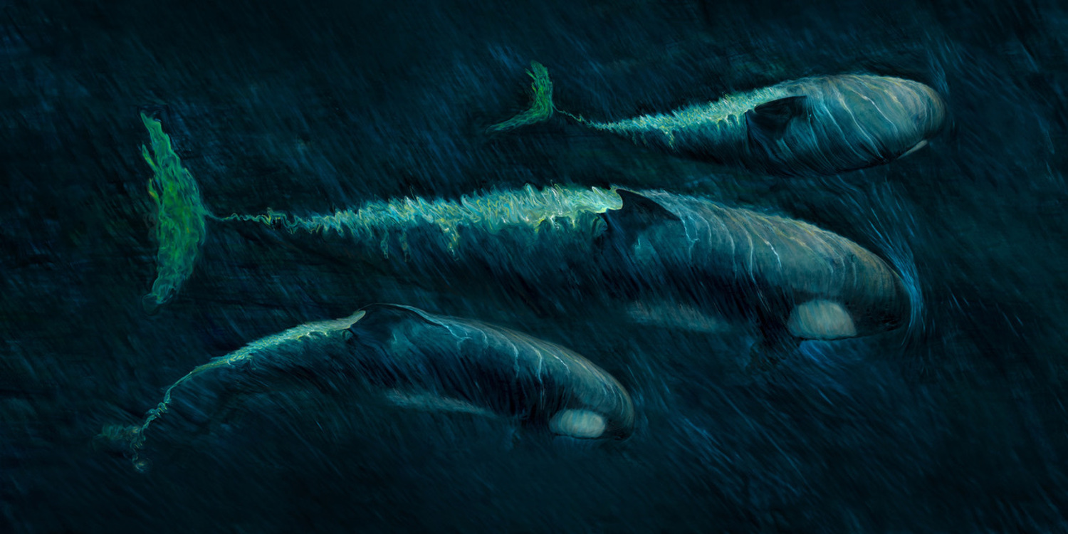 Stealth Orca Pod - Nikki Baxendale
