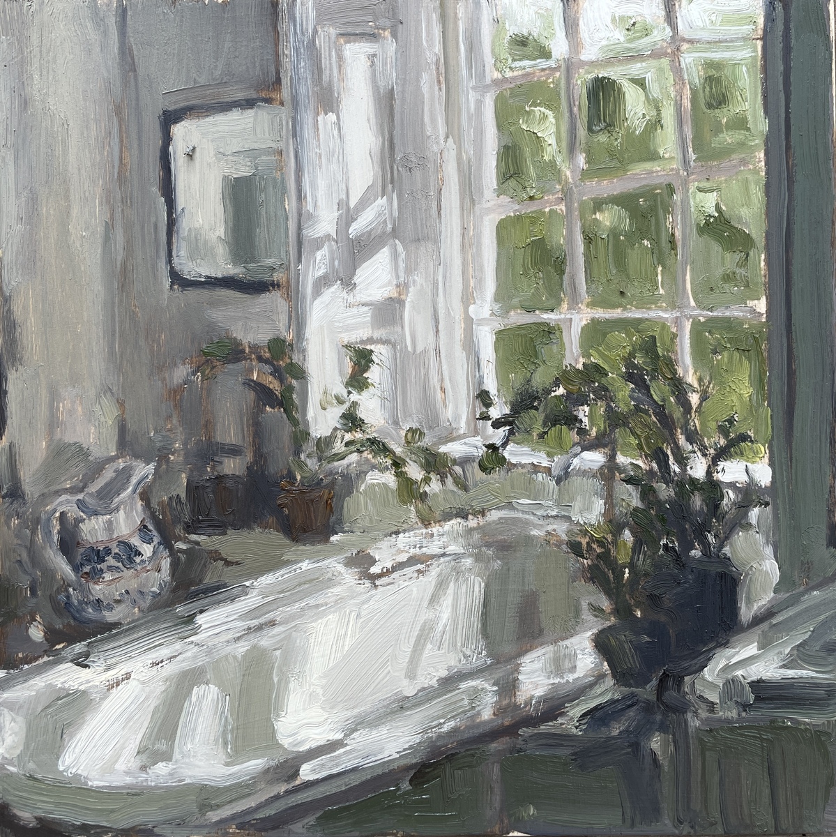 Potted Geraniums - Sal Wiltshire
