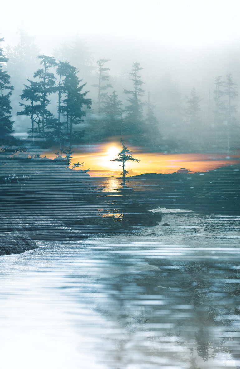 Ocean Sanctuary (1/9)