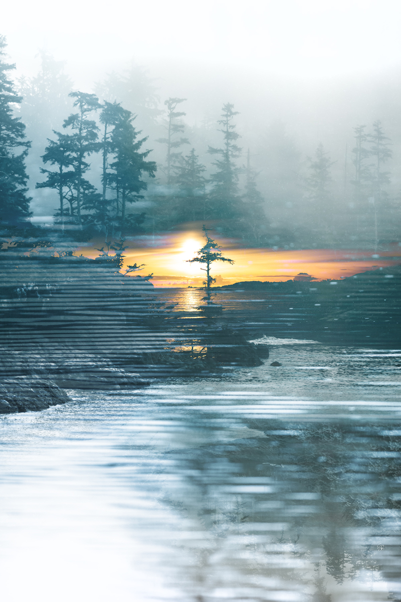 Ocean Sanctuary (1/9)