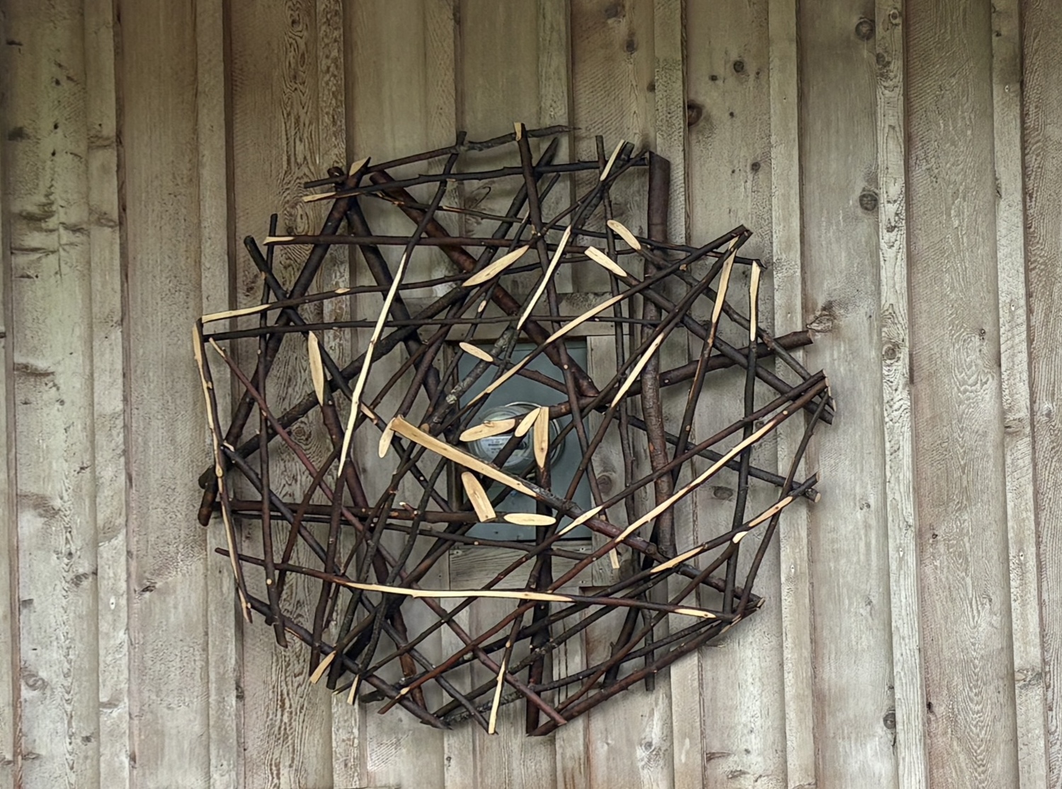 Thicket