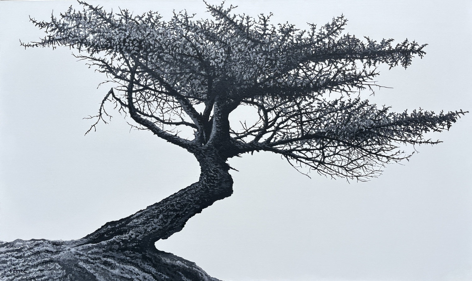 Windblown #5, Solitude